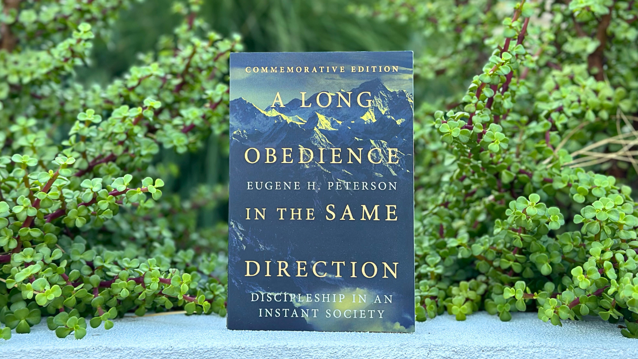 A Long Obedience in the Same Direction — @diveindigdeep